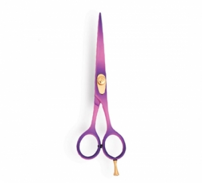 Professional Hair Cutting Scissor
